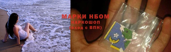 стаф Алзамай