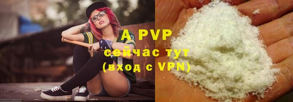 хмурый Аркадак