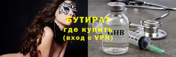хмурый Аркадак