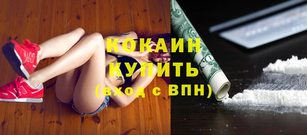 стаф Алзамай