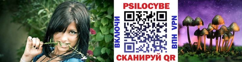 Псилоцибиновые грибы MAGIC MUSHROOMS  хочу наркоту  Нижний Новгород 